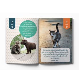 Almabook 365 jours en compagnie des chats