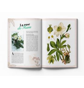 Secrets de plantes, bienfaits et usages