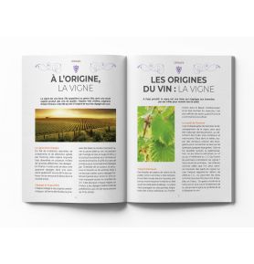 Tout savoir sur le vin